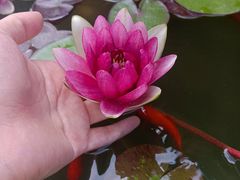 -慈恩寺
