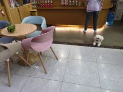 -宠颐生宠物医院·心肾内科·猫专科诊疗中心宠巢店
