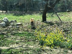 -西安秦岭野生动物园