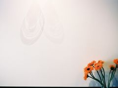 -black rainbow coffee
