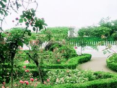 -南山植物园