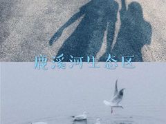 -白鹭湾湿地公园