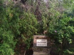-府君山公园