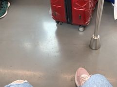 -锦江乐园(地铁站)