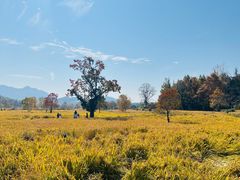 -塔川景区