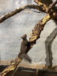 -Zoolung Zoolung动物主题公园(海信广场店)