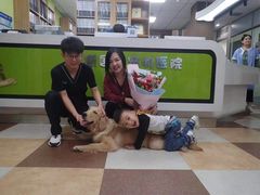 -奈斯宠物医院·核磁CT·异宠专科·内镜(中南店)