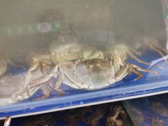 -阳澄湖大闸蟹·琼灵阁牌品牌连锁(吴中总店)