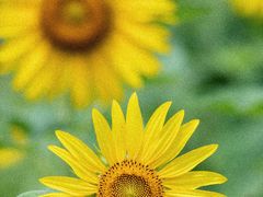 -杭州城北体育公园