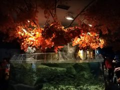 -成都浩海立方海洋公园