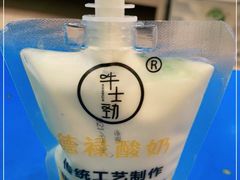 -德禄酸奶(莫家街店)