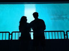 -北戴河圣蓝海洋公园