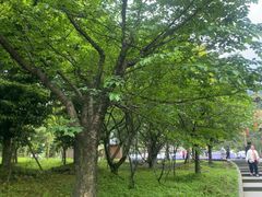 -峨眉山报国寺