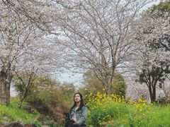 -柱状节理带