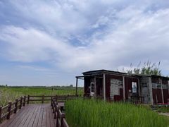 -宁波杭州湾国家湿地公园