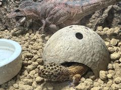 -江和美海洋公园
