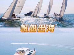 -巽寮湾