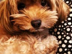 -牧歌商务公馆(南门店)