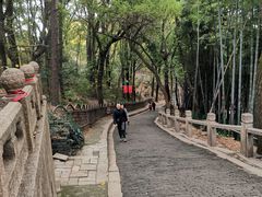 -灵岩山风景区