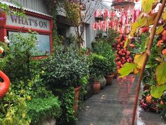 -The Grounds of Alexandria