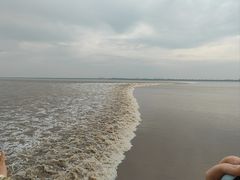 -观潮胜地公园
