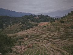 -南靖田螺坑土楼群景区