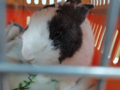 -惠康宠物医院(华能路店)