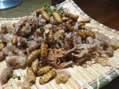 -曾牛土菜(捷瑞达店)