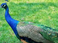 -南戴河国际娱乐中心