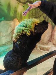 -酷嗒动物文化乐园(cutezoo西溪乐天城店)