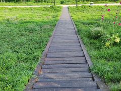 -洨河生态公园