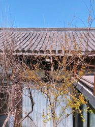 -LaMousse婚纱买手店