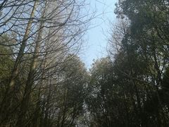 -同里国家湿地公园