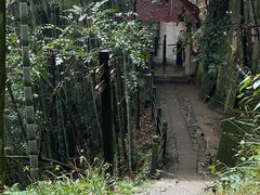 -莫干山风景区