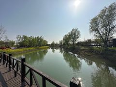 -泗洪洪泽湖湿地景区