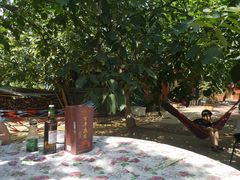 -水库活鱼馆(于桥水库店)