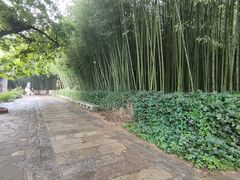 -竹泉村旅游度假区