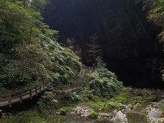 -龙水峡地缝景区