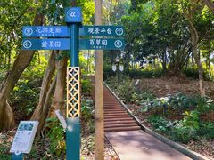 -火炉山森林公园