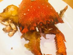 -割烹旭日本料理(龙湖狮山天街店)
