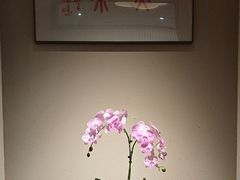 -梅间堂茶馆(绿地缤纷城店)