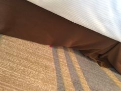 -舟山希尔顿酒店