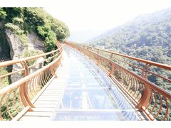 -少华山国家森林公园