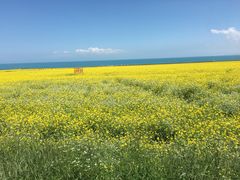 -青海湖国家重点风景名胜区售票处