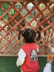 -萌宠亲子动物乐园(槐房万达店)