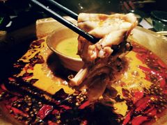 -哥老官重庆美蛙鱼头(松江地中海十八哥店)