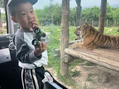 -西安秦岭野生动物园