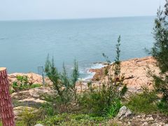 -广东惠东海龟国家级自然保护区