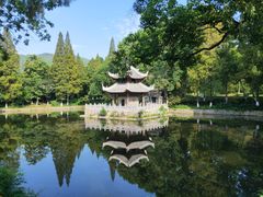 -习家池