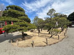 -水前寺成趣园